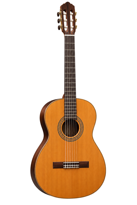 Classical Guitar instrument